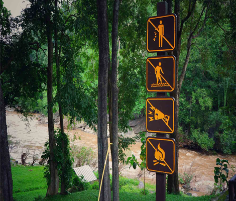 Tarakshu The Jungle Resort Image